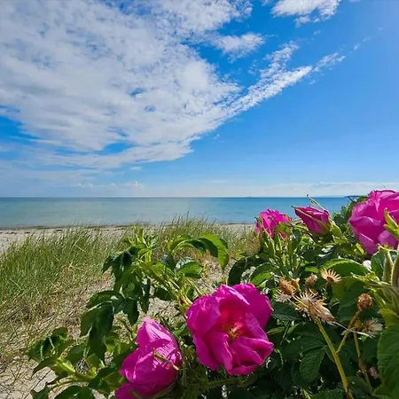 8238-knebel-begtrupvig-strandvej-57 Vakantiehuis