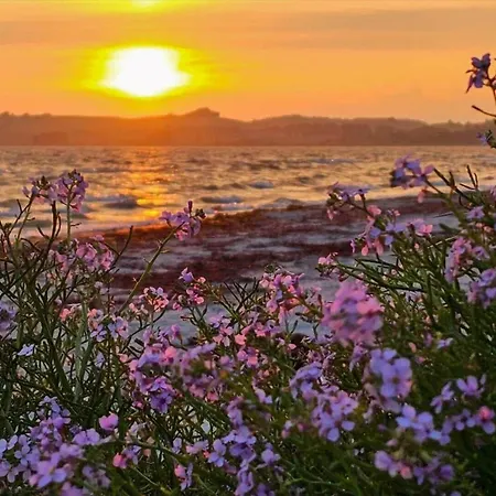 Vakantiehuis 8238-knebel-begtrupvig-strandvej-57