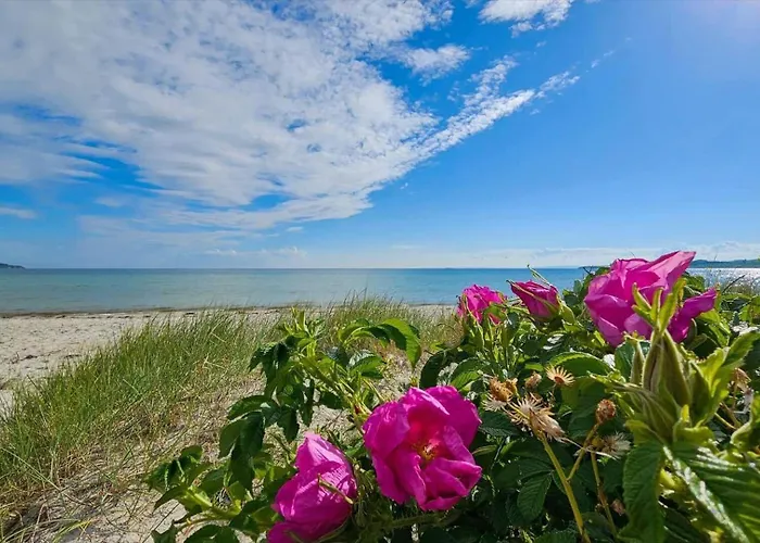 8238-knebel-begtrupvig-strandvej-57 Σπίτι διακοπών