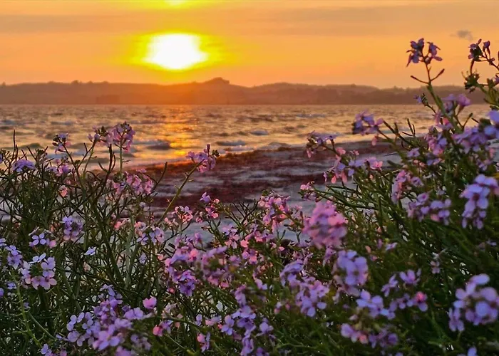 Σπίτι διακοπών 8238-knebel-begtrupvig-strandvej-57